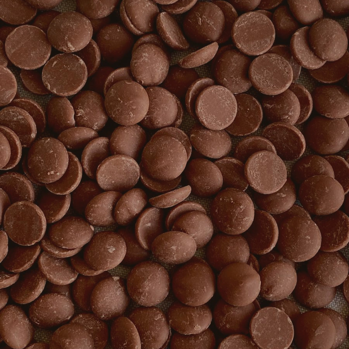Chocolat • Bowls